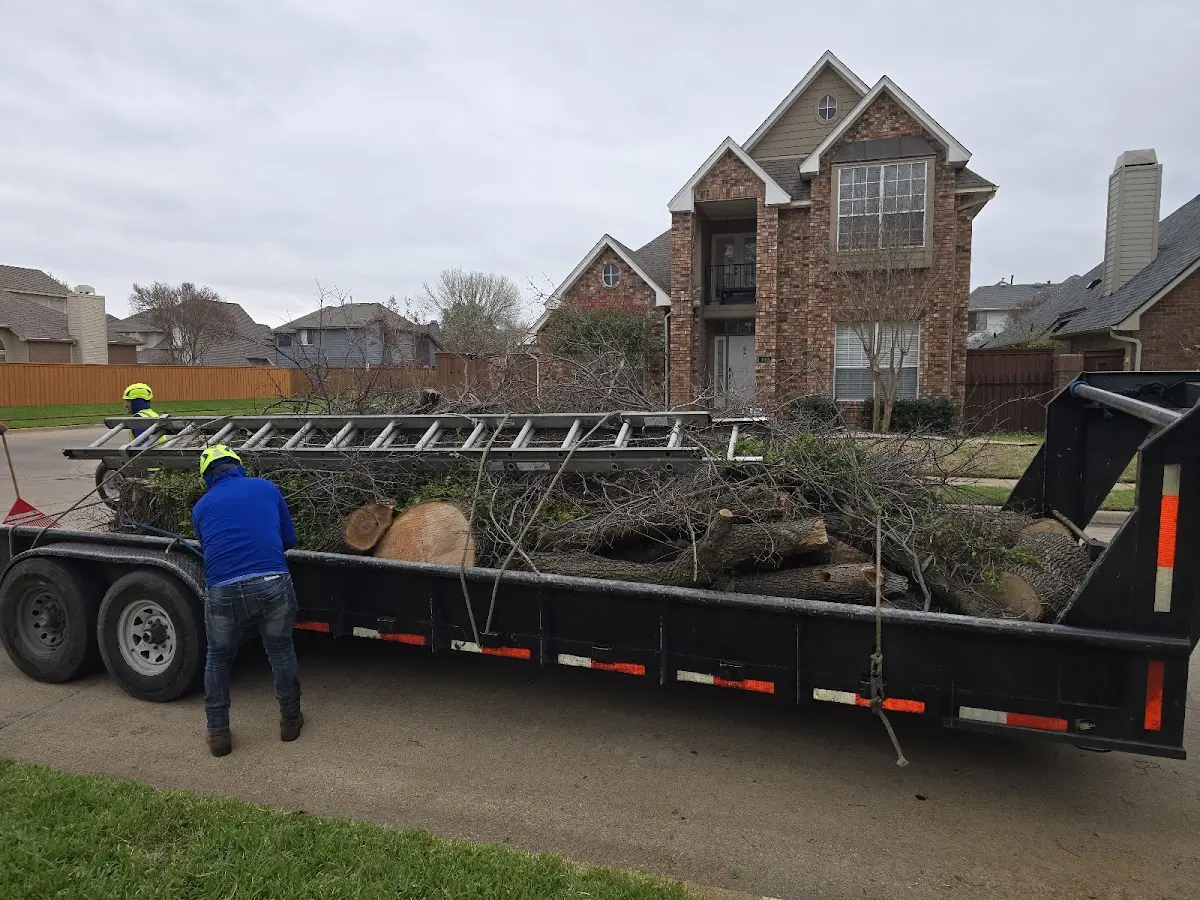 Expert Tree Fertilization with proper safety equipment in Hustontown
